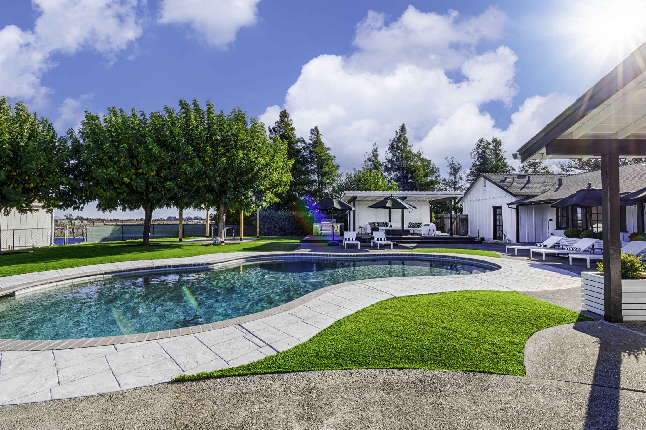 The pool in afternoon sun, lawn and maples around it